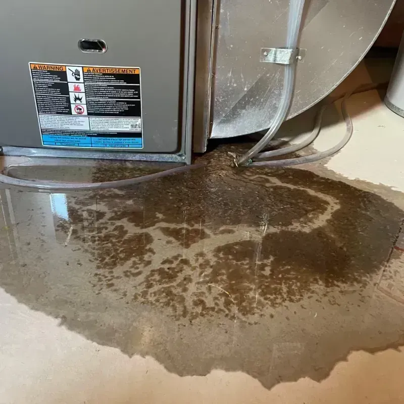 Appliance Leak Cleanup in Clarksburg, WV